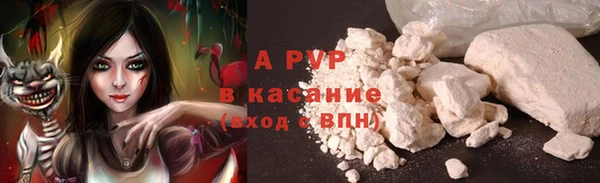 PSILOCYBIN Михайловка