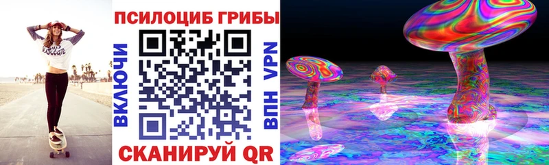 omg сайт  Шиханы  Псилоцибиновые грибы Cubensis 
